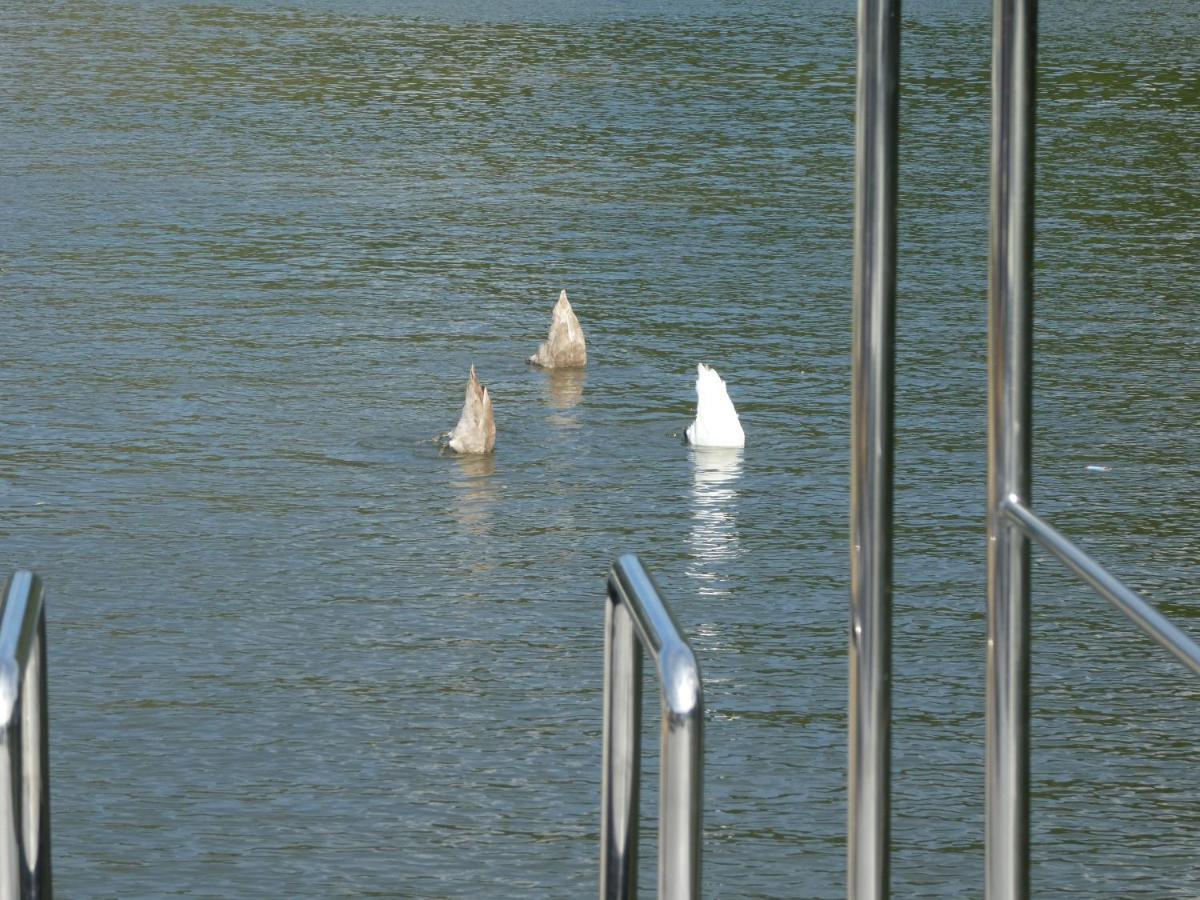 Hotel Hausboot Moselrose In Poelich Polich Zewnętrze zdjęcie