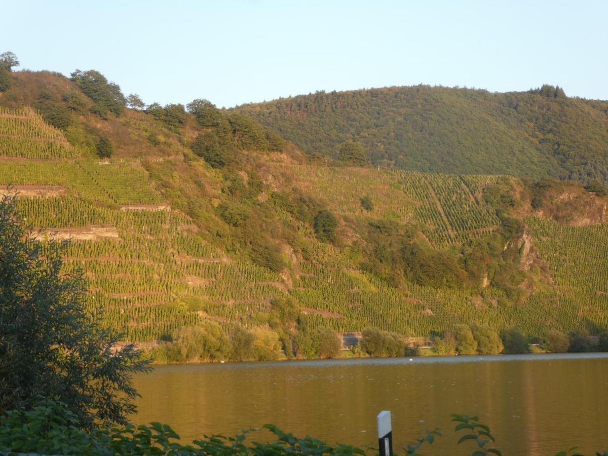 Hotel Hausboot Moselrose In Poelich Polich Zewnętrze zdjęcie